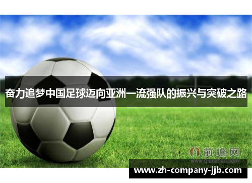 奋力追梦中国足球迈向亚洲一流强队的振兴与突破之路