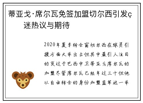 蒂亚戈·席尔瓦免签加盟切尔西引发球迷热议与期待